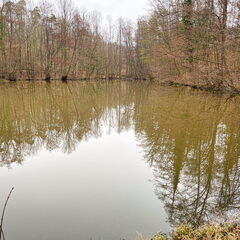 23-03-12 10-59-57 4776